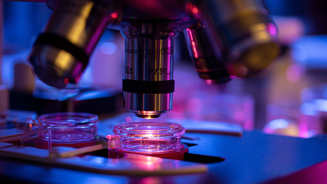 便攜式微量溶解氧檢測儀在半導體超純水檢測中的應用